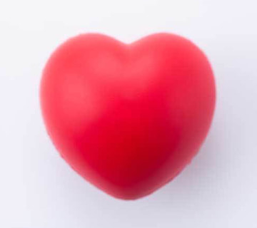 横浜の海で1周忌の供養として献花を行う様子｜海洋散骨後の供養｜清蓮