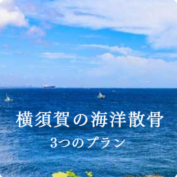 横須賀の海洋散骨のご案内｜3つのプラン