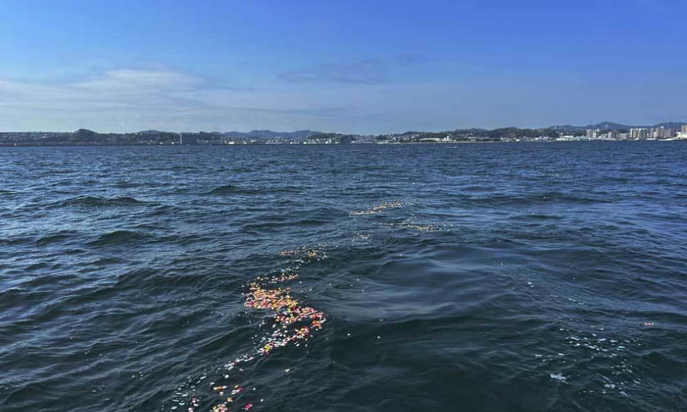 横須賀・観音崎沖の海洋散骨｜花を手向けて故人を見送る散骨セレモニー