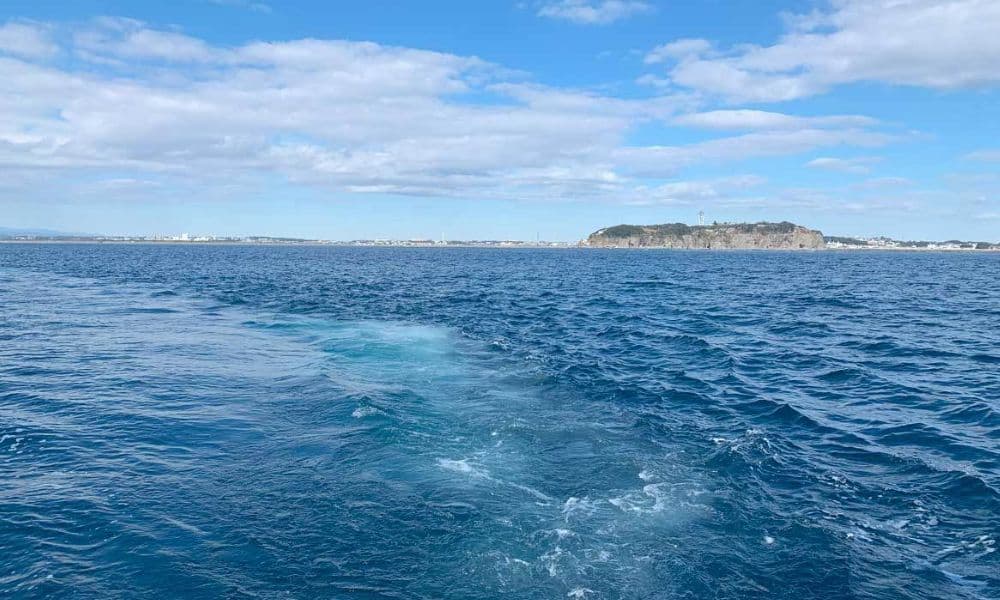 海洋散骨の様子｜花びらとともに遺骨を海へ還す海洋散骨