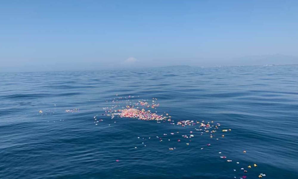 海洋散骨のあと、静かな海に花びらが広がる風景