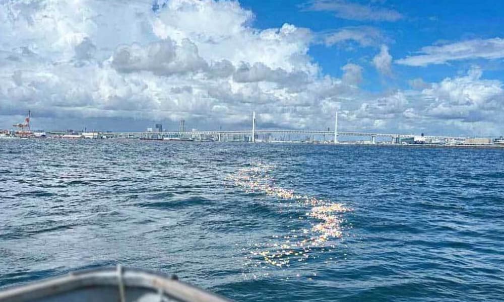 横浜・ベイブリッジ沖の海洋散骨で、船上から花を手向けて故人を見送るご家族の様子