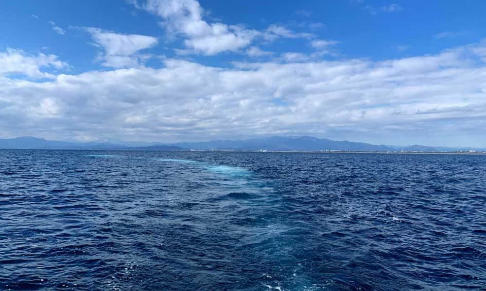海洋散骨を考えるご家族に寄り添う穏やかな海の風景