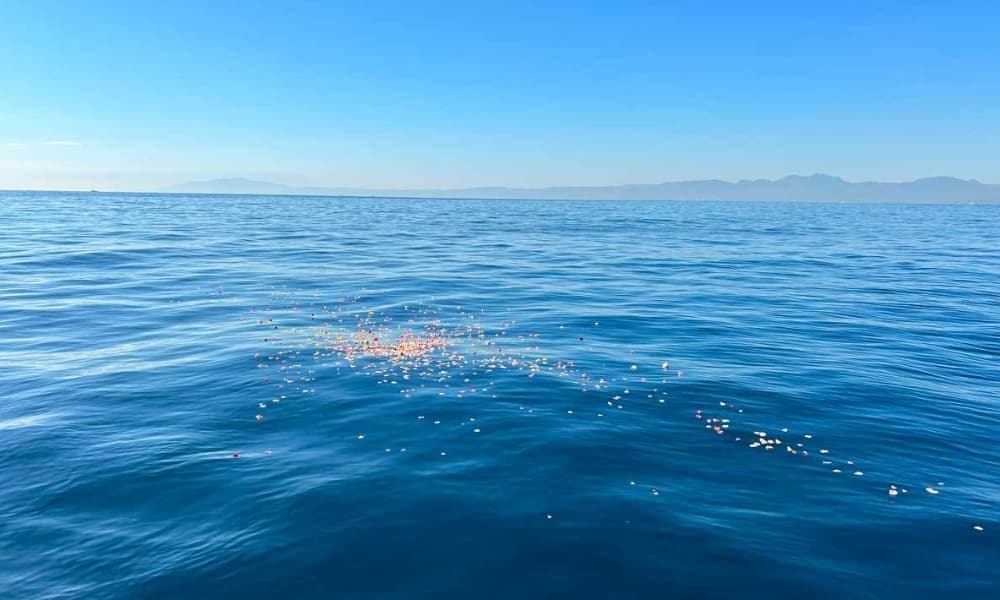  沖合の穏やかな海で行う海洋散骨セレモニーの様子