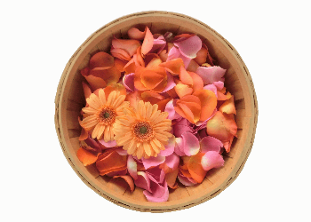 感謝の想いを伝える花びらの献花