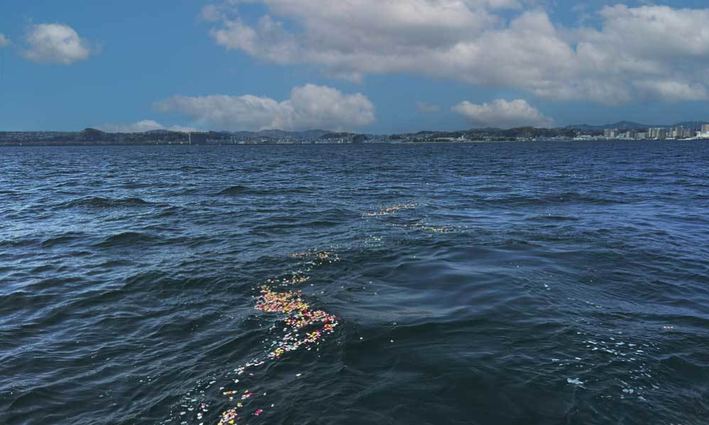 横須賀・猿島沖の合同散骨｜穏やかな海に献花が静かに広がる散骨の様子