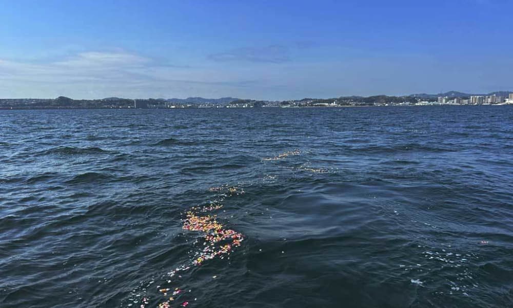 観音崎沖の海洋散骨で献花を行う様子｜花で彩る散骨セレモニー
