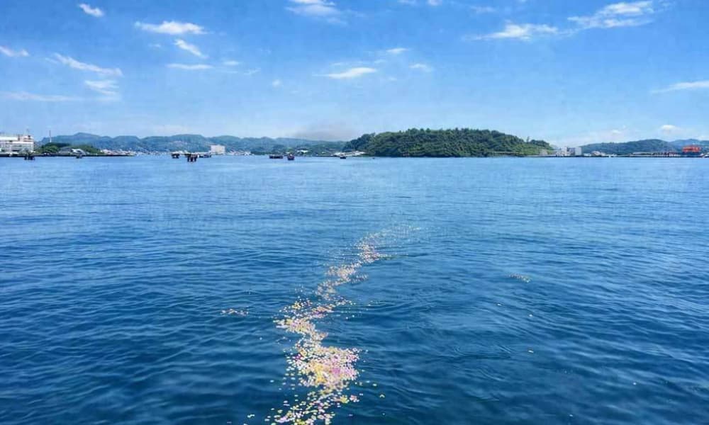 花びらが海に広がる横須賀基地沖の海洋散骨風景｜献花で見送る散骨セレモニー
