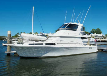 散骨で使用する船