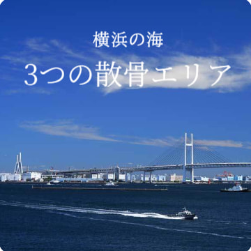 横浜の散骨エリア