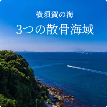 横須賀の海・3つの散骨海域