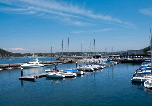 葉山港のマリーナ。白いヨットが整然と係留された静かな港の風景