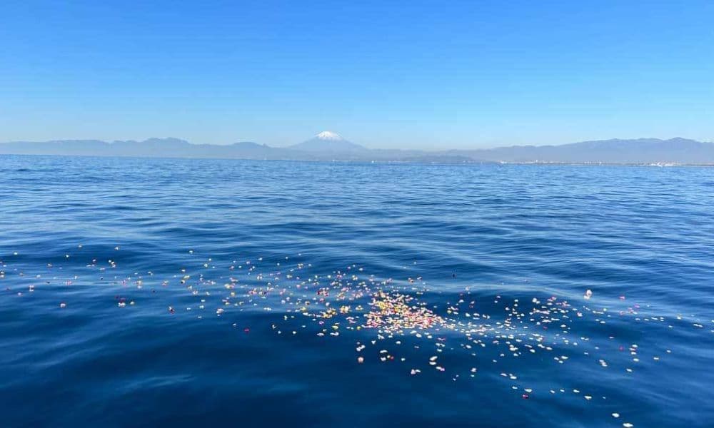 湘南の海洋散骨で花びらを手向けた後の海と富士山の景色