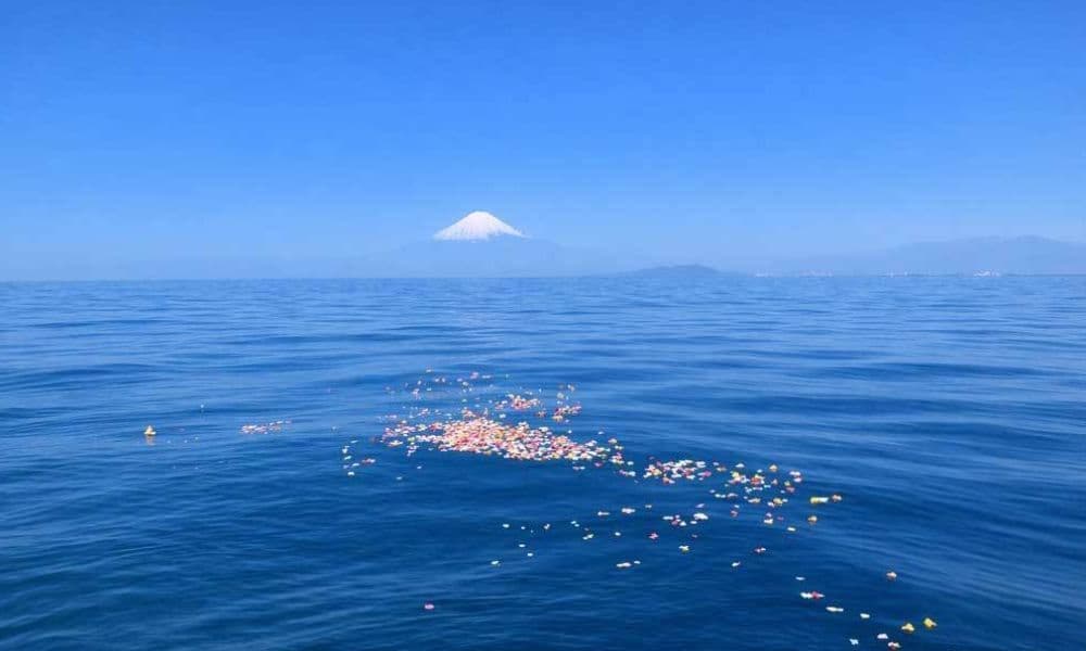 相模湾・葉山沖の海洋散骨風景。花びらを手向けた青い海の先に富士山が見える