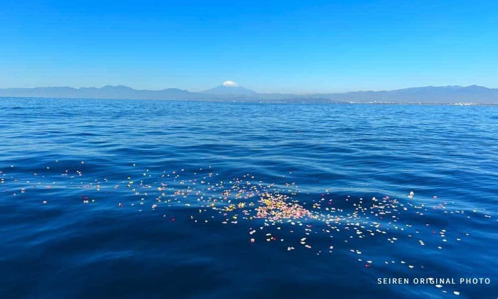 湘南大磯沖の相模湾で行う貸切海洋散骨の海景色