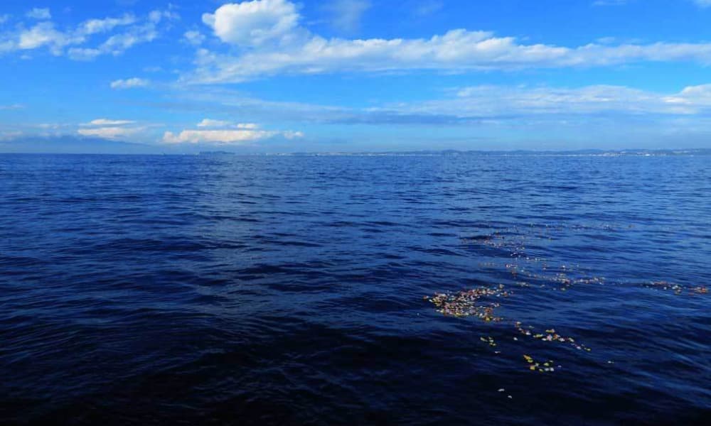 江の島を遠くに望む相模湾・湘南の適正な沖合で、海環境に配慮した花びらが穏やかに広がる海洋散骨の風景