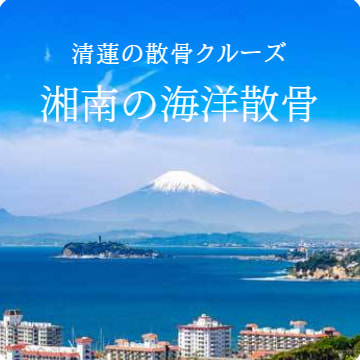 湘南の海洋散骨