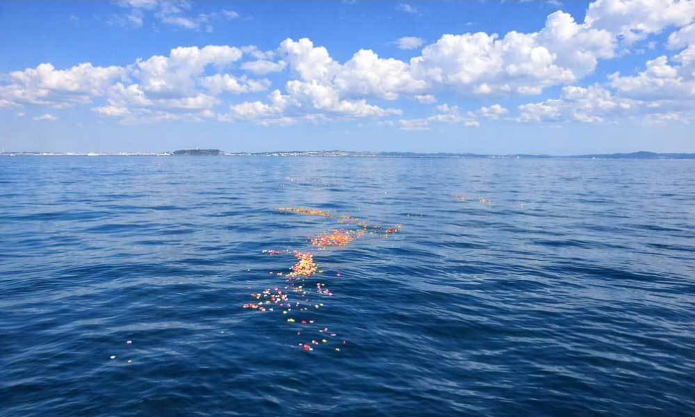 湘南の海で合同散骨後に水面へ広がる色とりどりの花びら