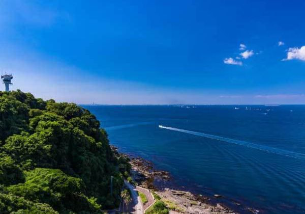 横須賀・猿島沖の代行散骨風景