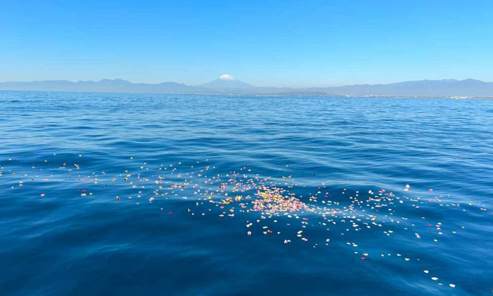 海洋散骨後、湘南沖の海に広がる献花の花びらと富士山の景色