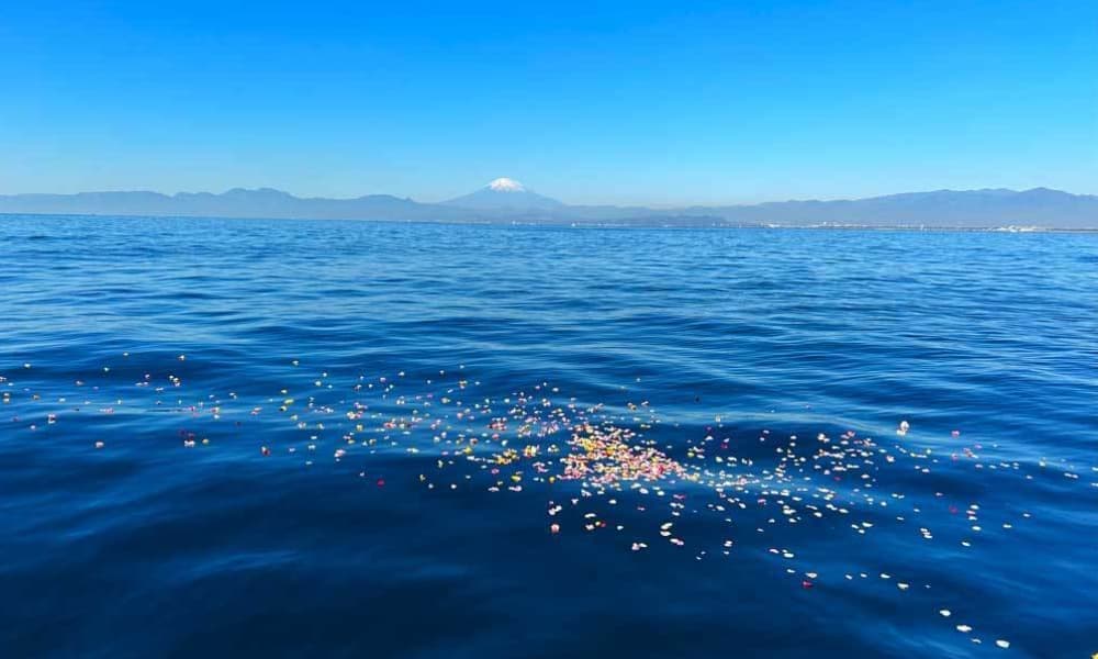 海洋散骨後の相模湾に花が浮かび、遠くに富士山を望む海の風景