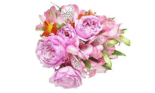 合同散骨プレミアムプランの献花用ブーケ